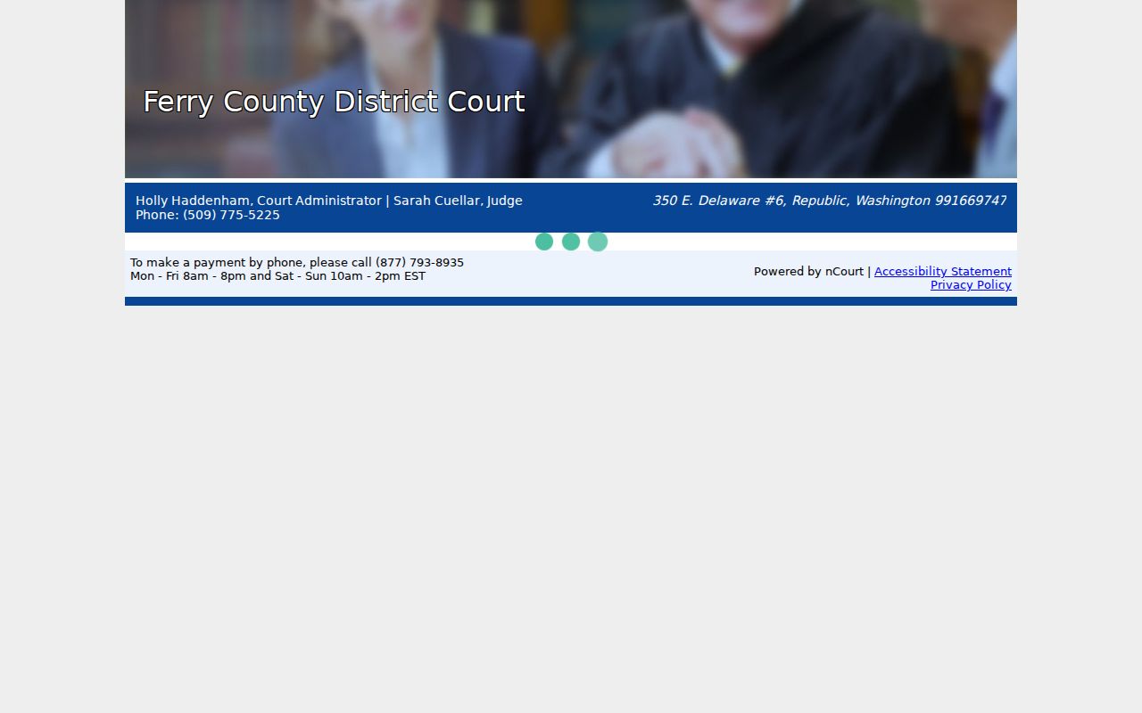 Ferry County traffic court nCourt payment page
